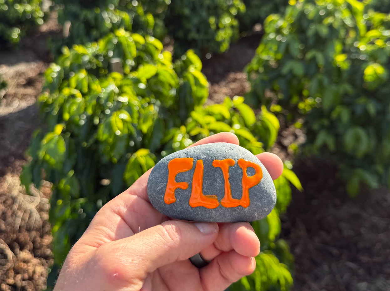 Coffee Plant Contribution