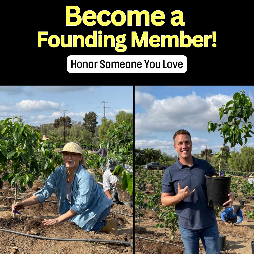 Coffee Plant Contribution