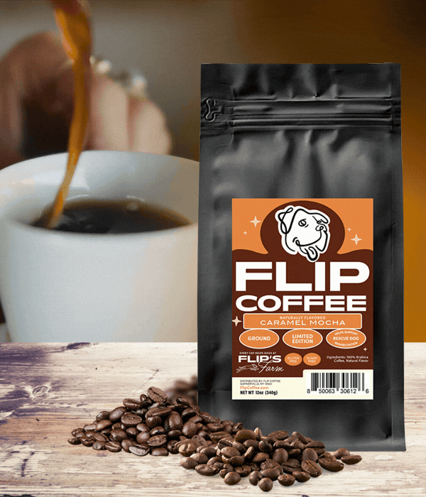 Caramel Mocha - Seasonal Coffee