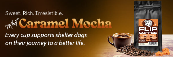 Caramel Mocha - Seasonal Coffee