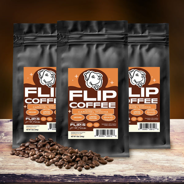Caramel Mocha – Flip Coffee