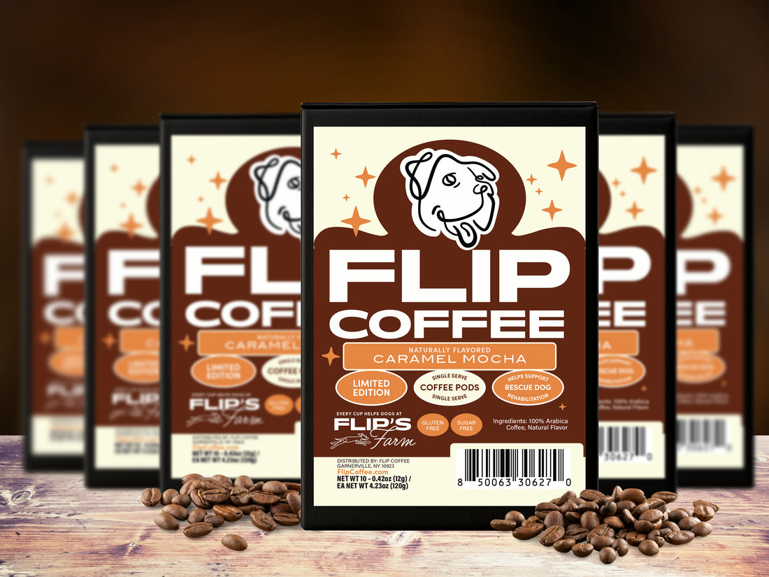 Caramel Mocha Single Serve Coffee Pods (Keurig compatible)