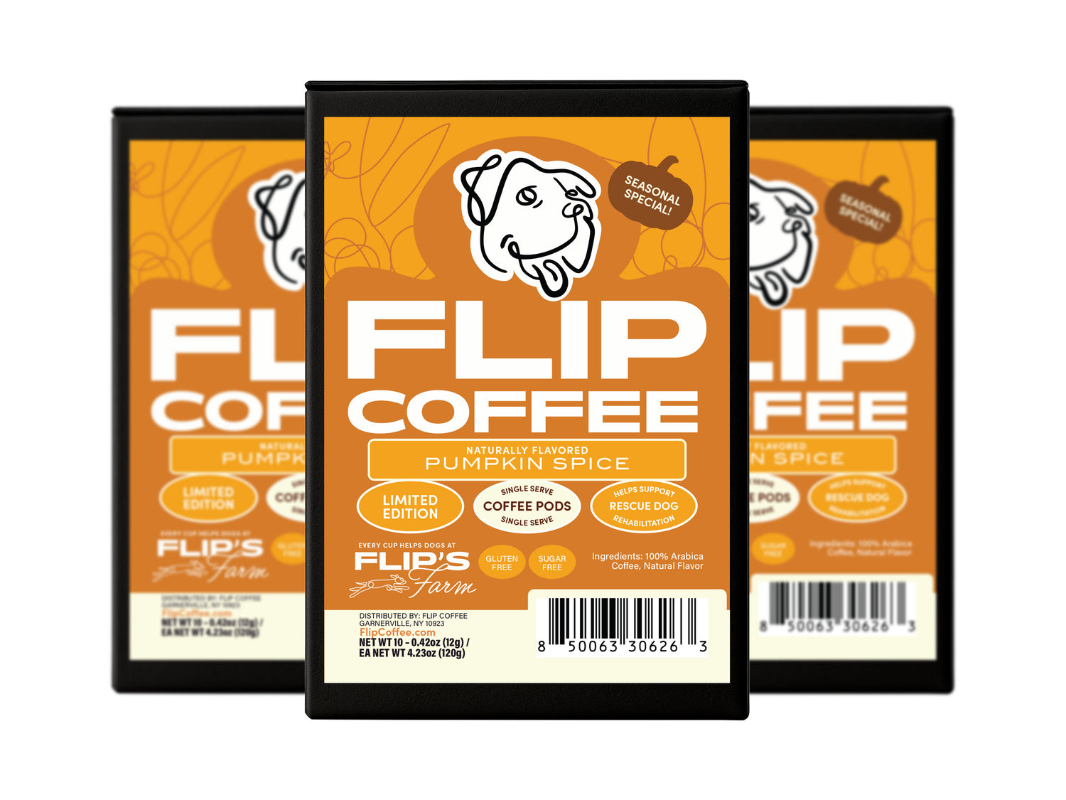 Pumpkin Spice Seasonal 12 oz  Coffee Bag