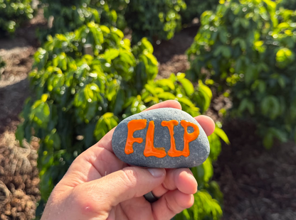 Coffee Plant Contribution