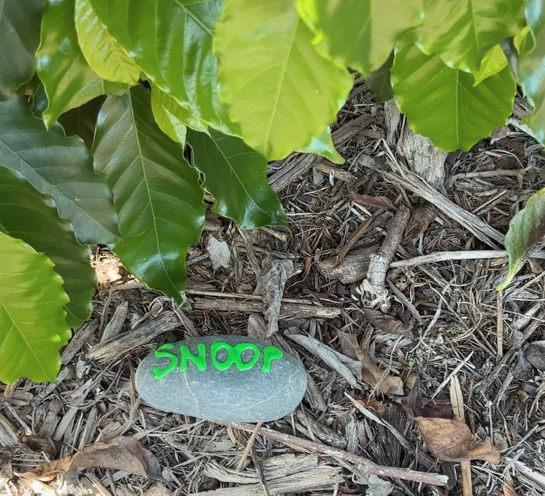 Coffee Plant Contribution