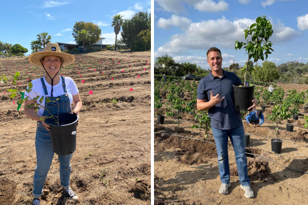 Coffee Plant Contribution